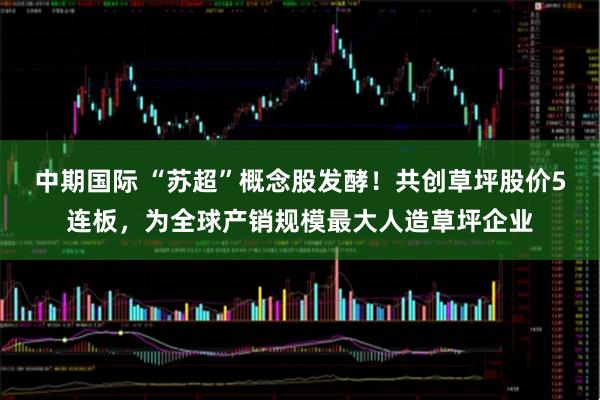 中期国际 “苏超”概念股发酵！共创草坪股价5连板，为全球产销规模最大人造草坪企业