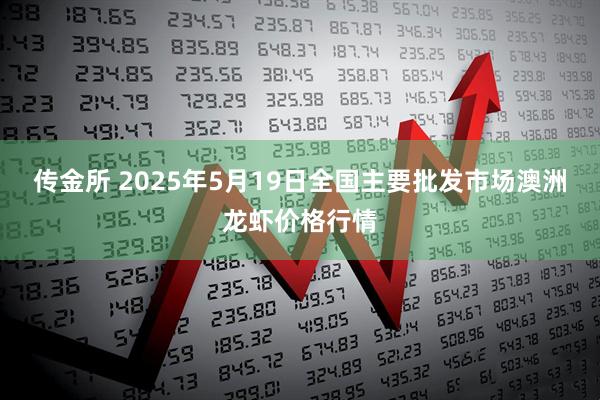 传金所 2025年5月19日全国主要批发市场澳洲龙虾价格行情