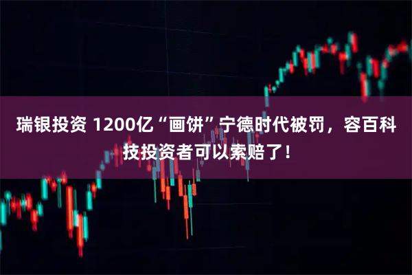 瑞银投资 1200亿“画饼”宁德时代被罚，容百科技投资者可以索赔了！