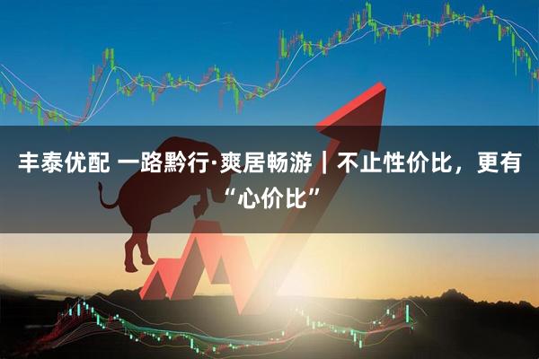 丰泰优配 一路黔行·爽居畅游｜不止性价比，更有“心价比”