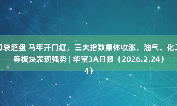 口袋超盘 马年开门红，三大指数集体收涨，油气、化工等板块表现强势 | 华宝3A日报（2026.2.24）