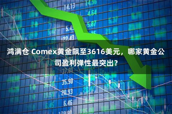 鸿满仓 Comex黄金飙至3616美元，哪家黄金公司盈利弹性最突出？