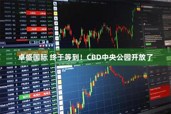 卓盛国际 终于等到！CBD中央公园开放了