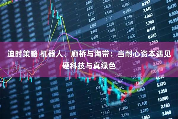 迪时策略 机器人、廊桥与海带：当耐心资本遇见硬科技与真绿色